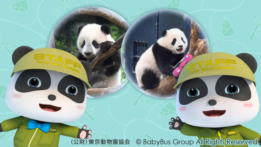 上野動物園監修の歌詞でシャオシャオとレイレイの特徴・個性を紹介